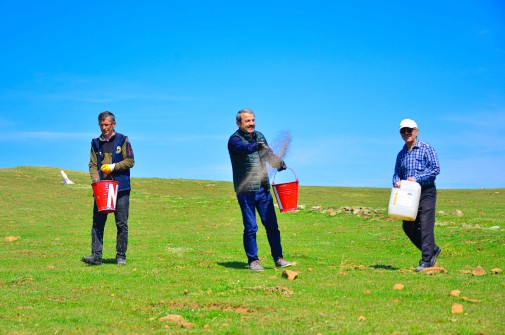 Akkuş’ta Meralarda Islah Çalışmaları Sürüyor